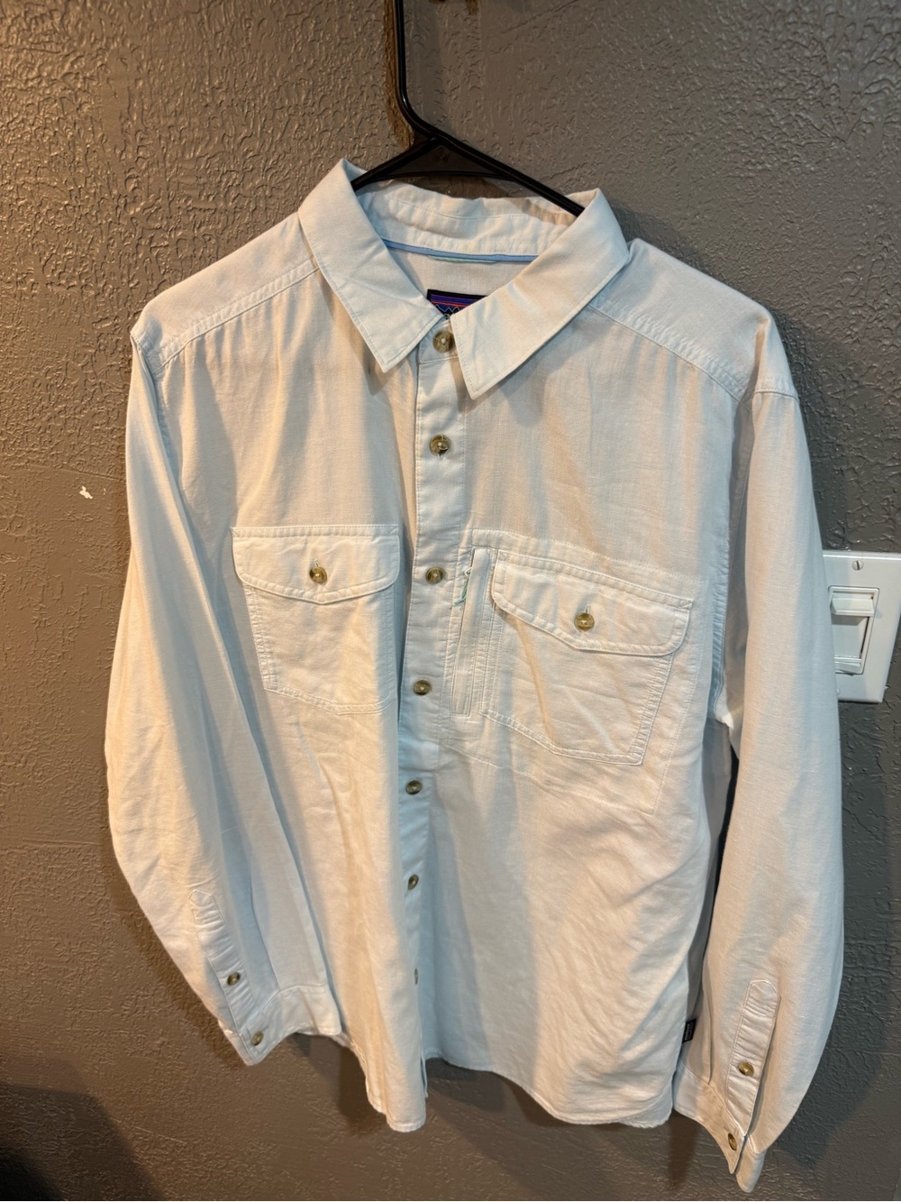 Patagonia Light Blue Long-Sleeve Button-Down Shirt